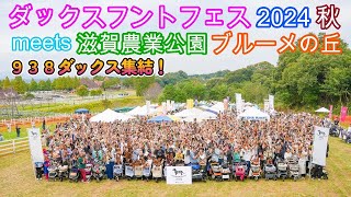 ダックスフントフェス2024 meets 滋賀農業公園ブルーメの丘 Autumnに行ったよ！ ミニチュアダックスフンド 多頭飼い ３歳／１歳【ちゃんねるナッツ】vol.235