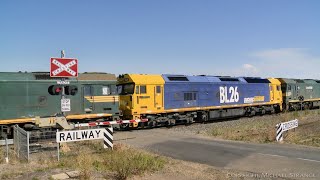 G523, BL26 \u0026 G539 Diesel Locomotives At Railway Crossing (17/3/2021) - PoathTV Australian Trains