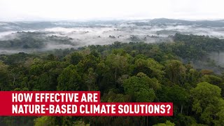 Nature-based carbon removal can help protect us from a warming planet