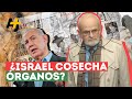Israel Y La Cosecha De órganos De Palestinos | Aj  Español