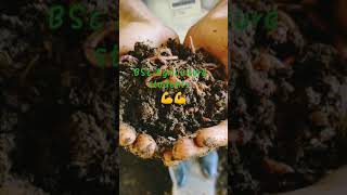 Bsc agriculture students preparing Vermicompost