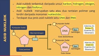 BIOLOGI KSSM TINGKATAN 4: 4.5 ASID NUKLEIK