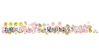 そうだ！お庭で春のわくわく見つけよう！｜神奈川県湘南近くの園芸屋さん 木村植物園