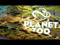 Ular Anaconda | Planet Zoo (Bahasa Indonesia)