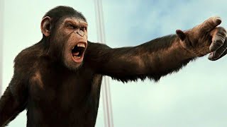 RISE OF THE PLANET OF THE APES (2011) - Apes vs Humans Battle For The Bridge Scene HD