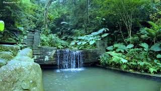 Relaxing Waterfall Sound with Forest Birdsong, Pleasant Sounds of Nature