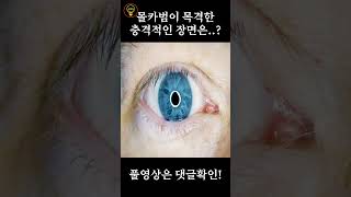 여자의 방을 몰래보던 남자가 목격한 충격적인 장면은....? [공포영화]