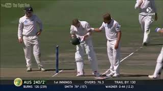 #Cricket Deadly bouncers and injured