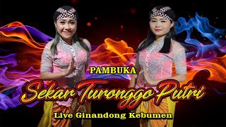 STP, SEKAR TURONGGO PUTRI PETIR SEMBIR, TARI PAMBUKA LIVE GINANDONG KEBUMEN