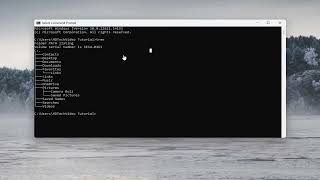 How To Clear CMD Screen In Windows [Tutorial]