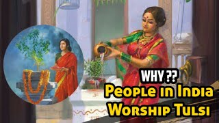 Why people in India Worship Tulsi#indianculture #yt_viral #shorts