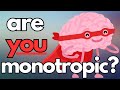 Is Monotropism the best theory of Autism? #actuallyautistic