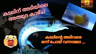 കടലിന്റെ അടിയിലെ കാഴ്ചകൾ കാണണോ ...കൊച്ചിക്ക് വാ മക്കളേ ... കൊച്ചി പഴയ കൊച്ചിയല്ല