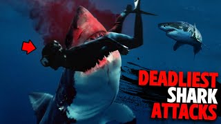 Deadliest Shark Attacks of 2022 MARATHON!