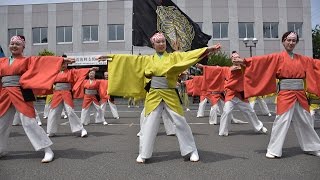 舞人さん【４K】熊本地震復興支援チャリティよさこい