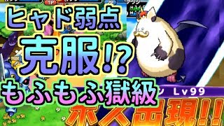 【どこパレ】激闘!もふもふキング獄級 ヒャドが無効...？【どこでもモンパレ】