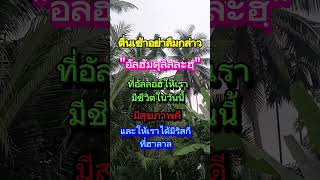 อย่าลืมกราบอัลฮัมดุลิลละฮฺ #อิสลาม #ศาสนาอิสลาม #อิสลามคือคำตอบของชีวิต #มุสลิม