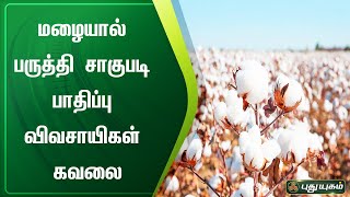 நாகை  -  மழையால் பருத்தி சாகுபடி பாதிப்பு - விவசாயிகள் கவலை | செய்தித் துளிகள் | PuthuyugamTV