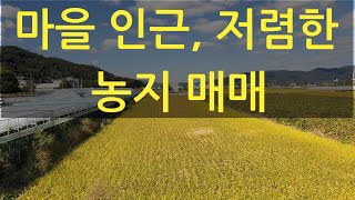 밀양농지매매. L299. 농사짓기 편리한 마을 인접. 저렴한 가격. 하우스 영농 가능. 농업진흥구역 답 2,301㎡. 금액 1억 3,920만원. 밀양부동산, 밀양토지매매,