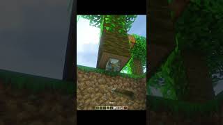 Minecraft Tik tok hack #minecraft #shorts