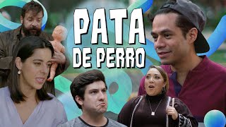 COLECCIÓN I PATA DE PERRO