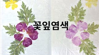 [미술] 꽃잎 염색