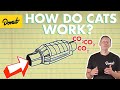 Catalytic Converter: How It Works | Science Garage Catalytic Converter: How It Works | Science Garage