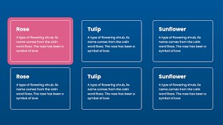 Card Hover Effect HTML CSS JavaScript Grid Bootstrap | JavaScript Card Hover Effect @raselcoder