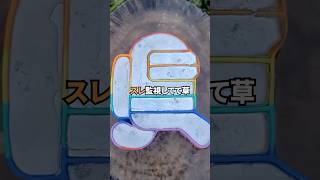 【2ch面白いスレ】なんJに日本の文学的叡智の衰えを憂う者、現るwww