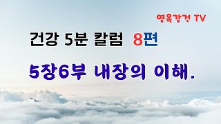 5장6부 내장의 이해