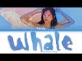 SEJEONG (세정) – Whale Lyrics (Color Coded Han/Rom/Eng)