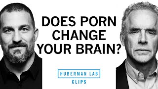 The Truth About Pornography | Dr. Jordan Peterson & Dr. Andrew Huberman
