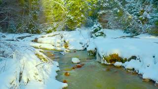 Hargita-liget Nemzeti Park  Kiruly Erdély  Románia  Transylvania  National Park  4K Drone