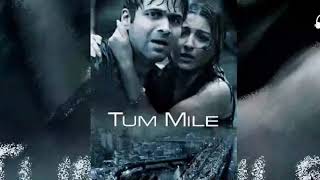 Tum Mile Love Reprise LYRICS - Javed Ali | Emraan Hashmi |Tum Mile Toh Jeena Aa Gaya Lamhe Tham Gaye