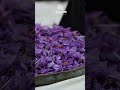 cleaning saffron