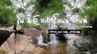 Bambarakanda Falls camping | ලංකාවේ උසම දියඇල්ලටත් උඩින් රැයක්  | Full Details Vlog  | Lanka Ella