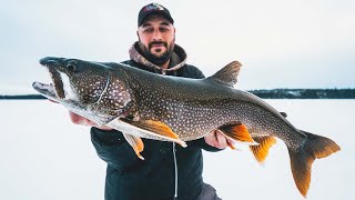 Incredible Multi-Species Ice Fishing - Viking Lodge, Manitoba