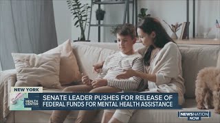 Schumer pushes for release of federal funds for mental health assistance