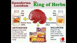 Dxn Ganoderma the king of harb RGGL benifit