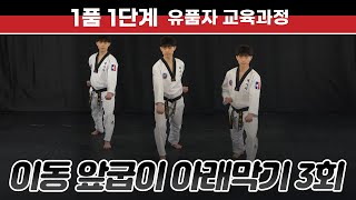 [1품 1단계] 이동 앞굽이 아래막기 3회 Front inflection stance