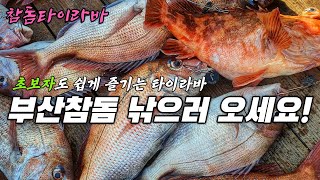 [오션88] 참돔 타이라바 / 부산에서 즐기는 참돔낚시!!