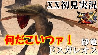 【MHXX初見実況】何だこの魚だか龍だか鳥だかわからんモンスターは！その正体は隠してドスガレオス！ パート13