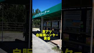 激レア自販機ハンター黄昏 #黄昏アルティメット #激レア自販機 #shorts