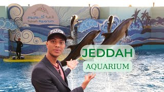 Jeddah Dolphin Show | Fakieh aquarium Jeddah😱🐬🐋