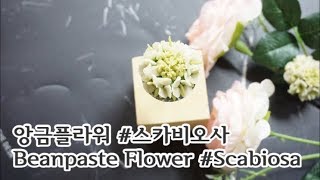 앙금플라워 #스카비오사 #beanpaste flower #scabiosa #豆沙裱花 #韩式裱花