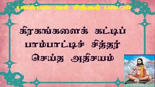 பாம்பாட்டிச்சித்தர்.23- கிரகங்களைக் கட்டி மரணம் வென்ற பாம்பாட்டிச் சித்தரின் மகிமை