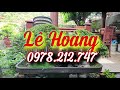 sh.3990. Độc lạ. không biết tên của cây này như con tê giác có giá 1 2 tỷ đồng. lê hoàng bình dương.