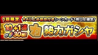 【サウスト】OPTS 海賊王 [力系] 勢力 11連抽 !!! One Piece Thousand Storm 航海王 KitC