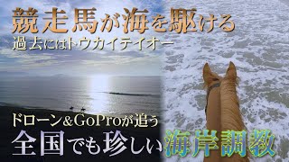 【海岸調教と波の音】トウカイテイオーも過ごした絶景をほぼノーカットでお届け　撮影協力：山下牧場