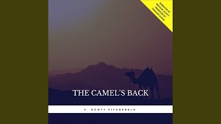 Chapter 1.9 - The Camel's Back